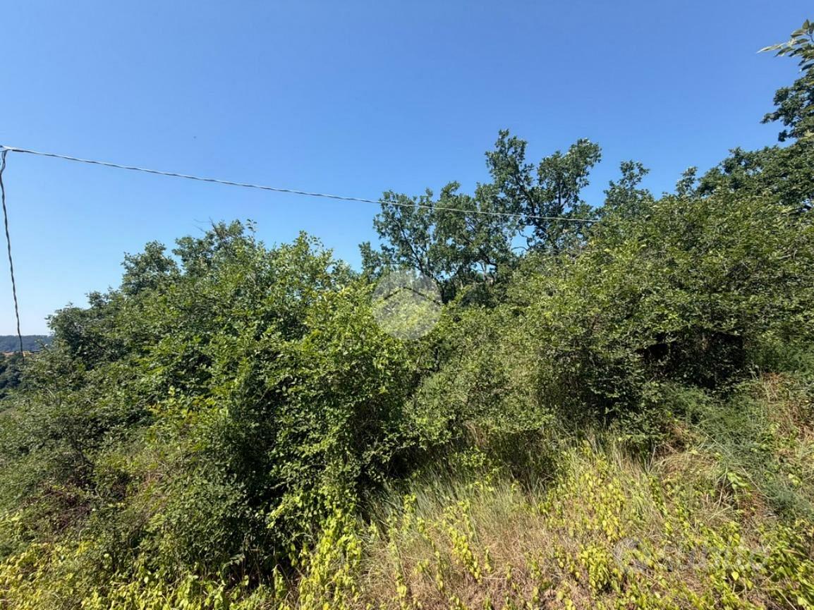 RUSTICO A MAGLIANO SABINA - Altro