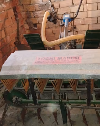 Spazzatrice Togni per nocciole benzina 