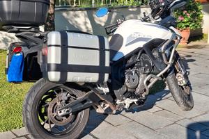 Triumph Tiger 900 gt