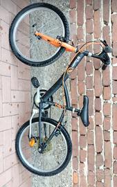 Mtb bambino