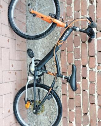 Mtb bambino