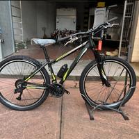 bicicletta zecchini Mountain bike
