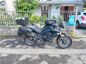 Tiger 800