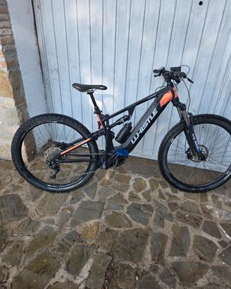 bicicletta elettronica