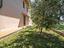 Immagine 29
