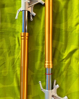 Forcelle ohlins Aprilia RSV4 1100 FKR