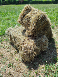 BALLETTE FIENO 5 cad