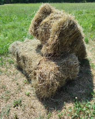 BALLETTE FIENO 5 cad