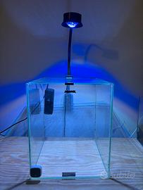 Acquario marino
