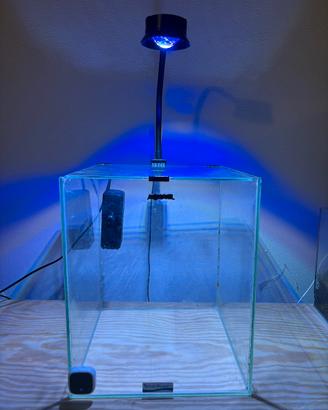 Acquario marino