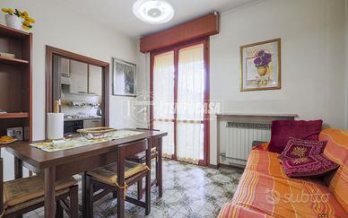 AMPIO TRILOCALE IN ZONA ALBA