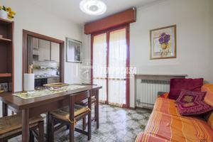 AMPIO TRILOCALE IN ZONA ALBA