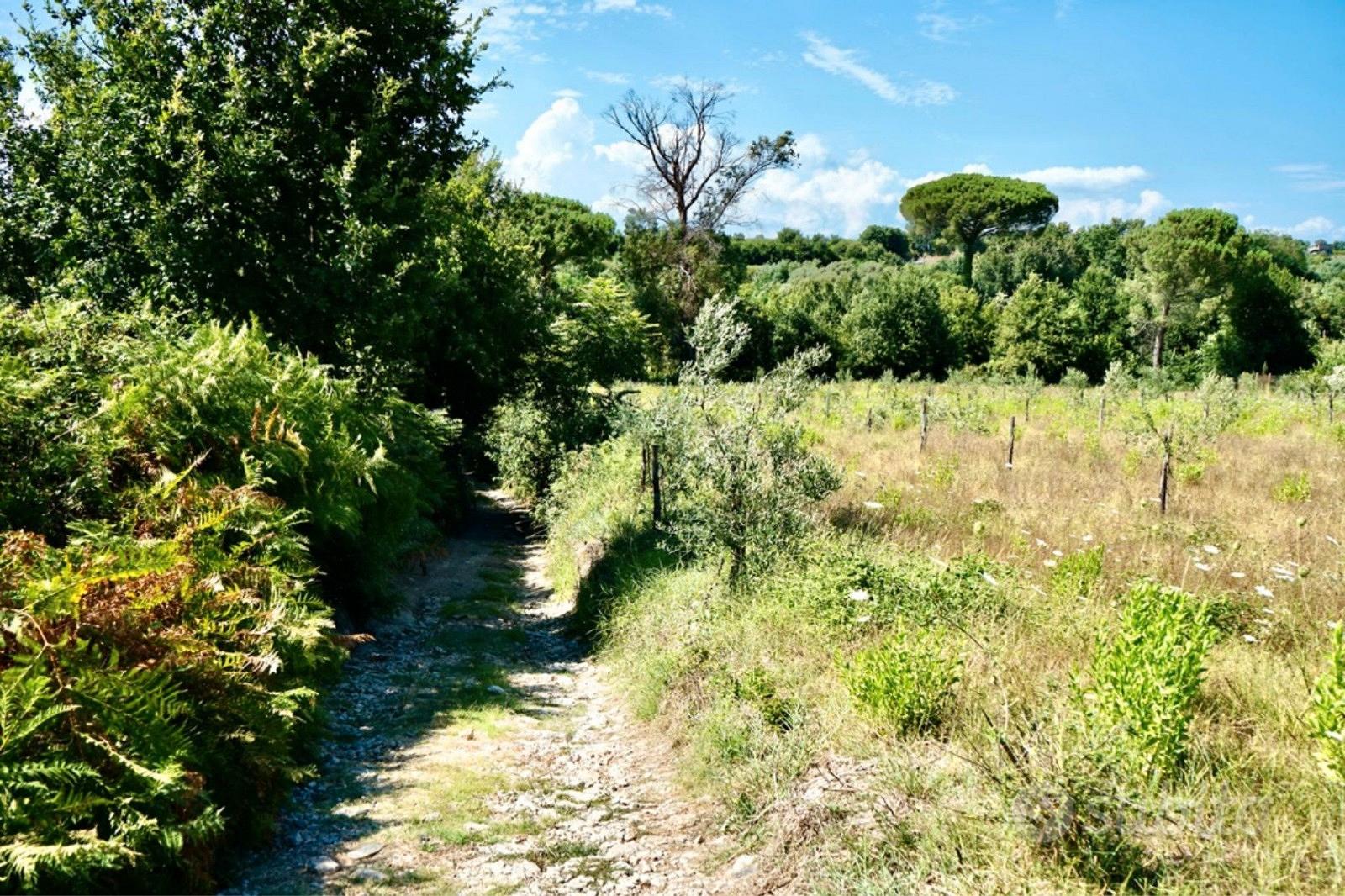 Terreno agricolo faccia strada - Vista 2