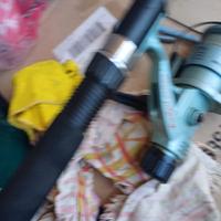 canna seppie o calamari