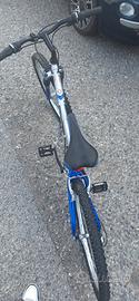 bicicletta mountain bike  