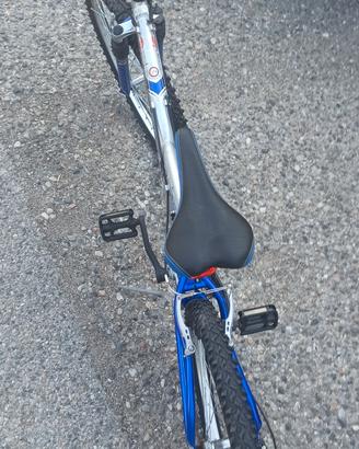 bicicletta mountain bike  
