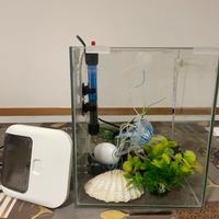 Acquario 20 litri