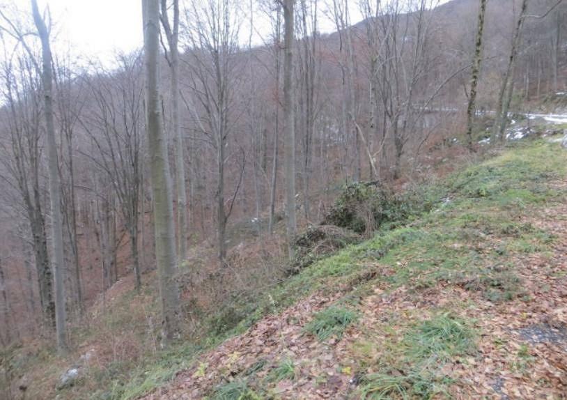 Immobile in asta di 62845 m² a Costa Valle Imagna - Vista 3