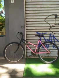 Mountain bike bici usata