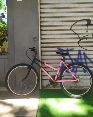 Mountain bike bici usata
