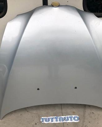 Cofano Alfa Romeo 147 2002 grigio chiaro