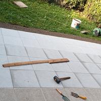 potatura siepe e piccoli lavoretti