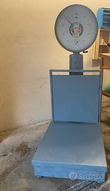 Bilancia professionale