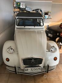 Citroen 2cv special