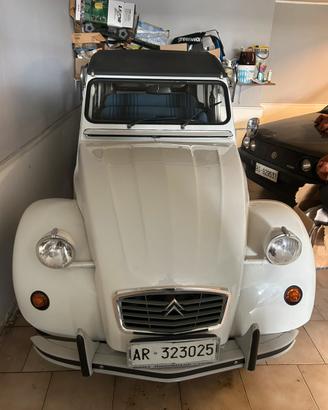 Citroen 2cv special