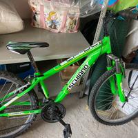 Bici mountain bike