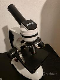 microscopio 