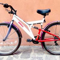 Bici Doniselli 26"