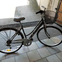 Bici grigia metallizzata