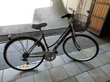 Bici grigia metallizzata