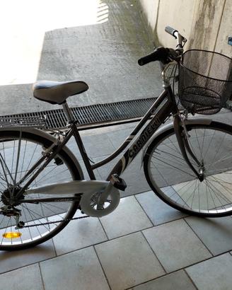 Bici grigia metallizzata