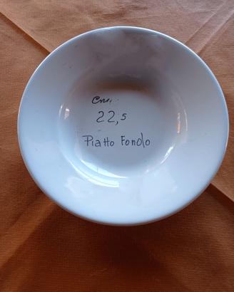piatti fondi tognana per la ristorazione 