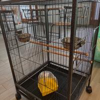 gabbia per uccellini o piccoli pappagalli 