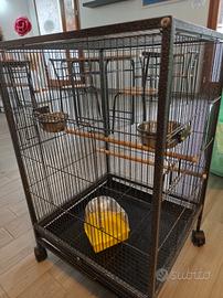gabbia per uccellini o piccoli pappagalli 