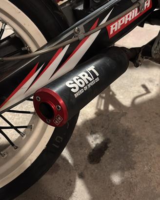 sile stage 6 rt