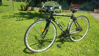 bici carraro dambiez 9.15