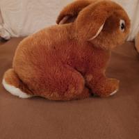 coniglio e tigre di peluche