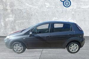 FIAT Punto 1.2 8V 5 porte Easy
