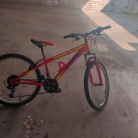 bicicletta 24" DFBikes