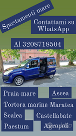 Autista privato