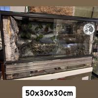 Ultime 5 Teche/Terrari Disponibili