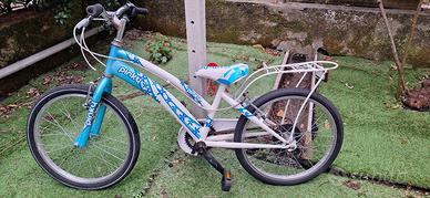 Bicicletta Pinky cerchio 18