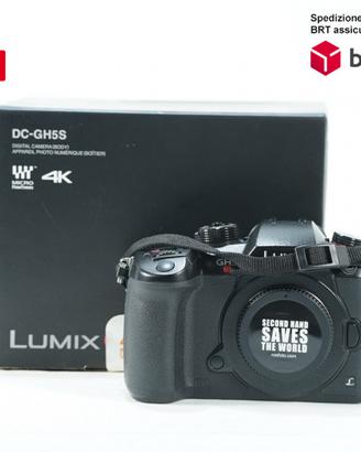 Panasonic GH5 S