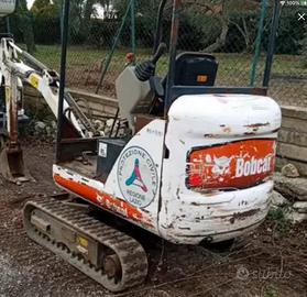 Miniescavatore