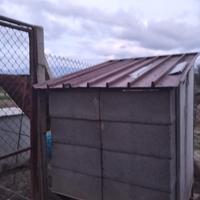 voliera per piccioni o colombacci