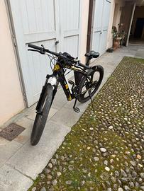 Mountain bike pedalata assistita